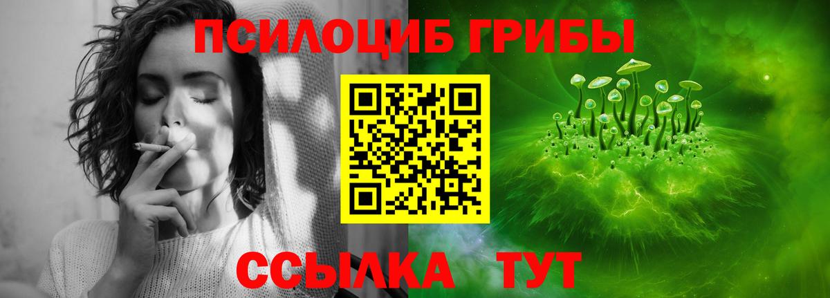 Псилоцибиновые грибы Psilocybine cubensis  Вход с VPN  Людиново  Галлюциногенные грибы Psilocybe 